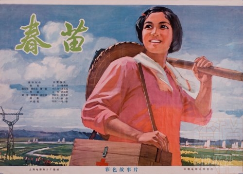 普伦蒂湾理工学院学生卡